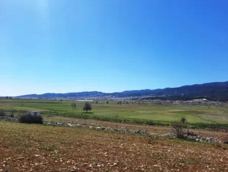5 000 M2 Detached Title Deed Deposit Suitable For Sale In Çameli Belevide Bargain Field For Sale