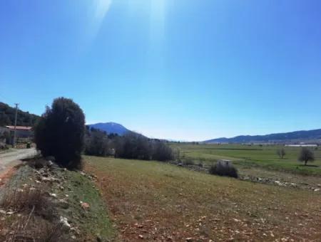 5 000 M2 Detached Title Deed Deposit Suitable For Sale In Çameli Belevide Bargain Field For Sale
