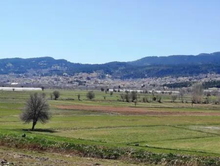 5 000 M2 Detached Title Deed Deposit Suitable For Sale In Çameli Belevide Bargain Field For Sale