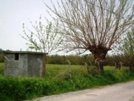 8 000 M2 Fertile Land For Sale In Muğla Ortaca Fevziye