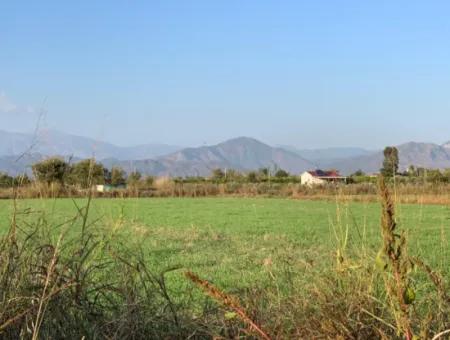 3000 M2 Of 28.394 M2 In Ortaca Güzelyurt Field For Sale