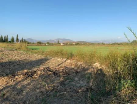 3000 M2 Of 28.394 M2 In Ortaca Güzelyurt Field For Sale