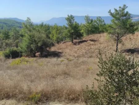 Ula Esentepede 4 200 M2 Sea View Land For Sale