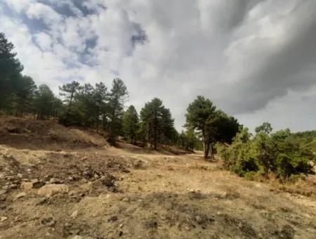 6 230 M2 Detached Land For Sale Or Exchange On The Old Acıpayam Road In Çameli Cumanda