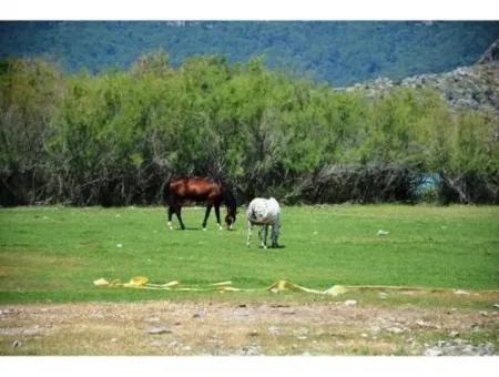 Detached Villa In Dalyan For Sale In Channel Zero