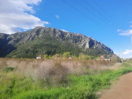 20.000 M2 In Muğla Ortaca Okçular Marmarlı, Land For Sale In The Zoning Plan