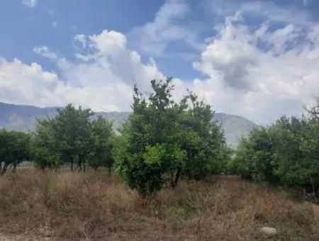 Köyceğiz Toparlar Lake View 2 100 M2 Zoned Land And 2 Houses For Sale