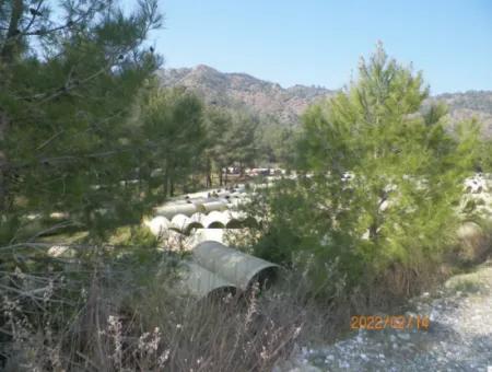 20,498 M2 Fertile, Water's Edge, Bargain Field For Sale In Ortaca Çaylı, Muğla