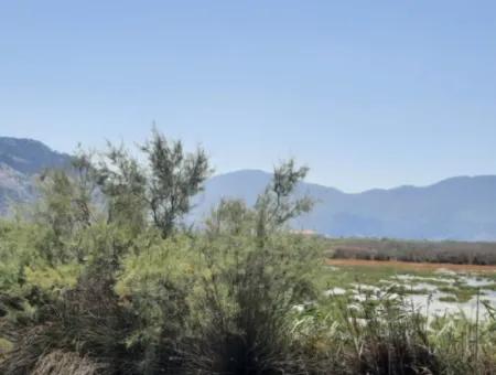 For Sale In Dalyan, Muğla, 17,500 M2 Detached Bargain Land Close To The Canal