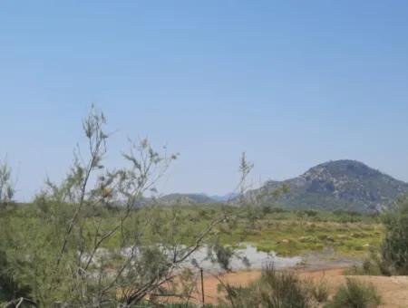 For Sale In Dalyan, Muğla, 17,500 M2 Detached Bargain Land Close To The Canal