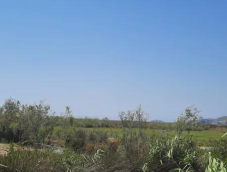 For Sale In Dalyan, Muğla, 17,500 M2 Detached Bargain Land Close To The Canal