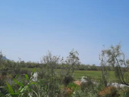 17,513 M2 Detached Land For Sale In Ortaca Dalyan, Muğla