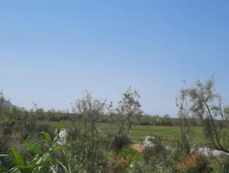 For Sale In Dalyan, Muğla, 17,500 M2 Detached Bargain Land Close To The Canal