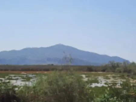 For Sale In Dalyan, Muğla, 17,500 M2 Detached Bargain Land Close To The Canal