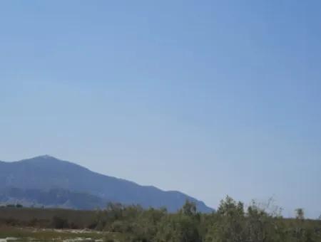 For Sale In Dalyan, Muğla, 17,500 M2 Detached Bargain Land Close To The Canal