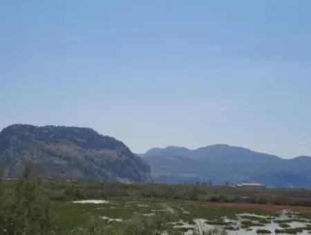 For Sale In Dalyan, Muğla, 17,500 M2 Detached Bargain Land Close To The Canal