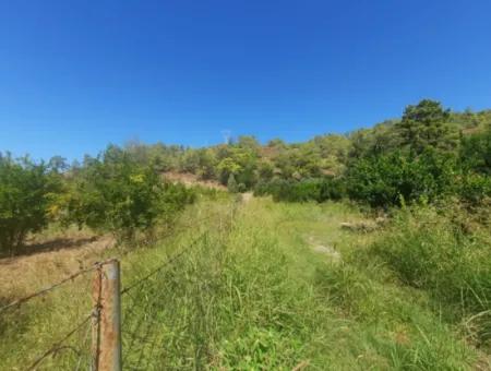 Muğla Ortaca Çaylıda 600 M2 Residential Zoned Bargain Land For Sale