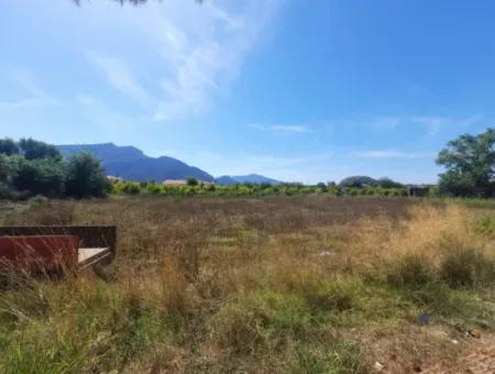 1000 M2 Land For Rent On The Street In Ortaca Dalyan Neighborhood