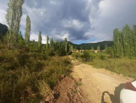 Muğla Köyceğiz Yayla Mah 795 M2 Land With Zoning For Sale