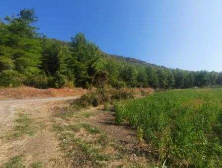 Muğla Ortaca Ekşiliyurt 8.000 M2 Fertile Land For Sale