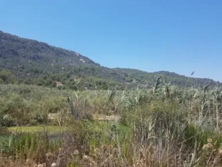 14300 M2 Land Suitable For Investment For Sale In Muğla Ortaca Sarıgerme