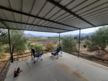 2 500 M2 Treasury Land In Eskiköy Possession Right Will Be Transferred Or Vehicle Exchanged