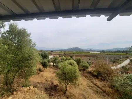 2 500 M2 Treasury Land In Eskiköy Possession Right Will Be Transferred Or Vehicle Exchanged