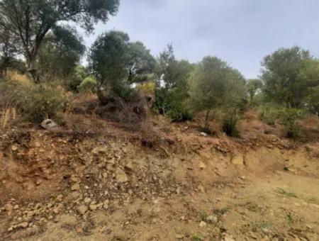 2 500 M2 Treasury Land In Eskiköy Possession Right Will Be Transferred Or Vehicle Exchanged