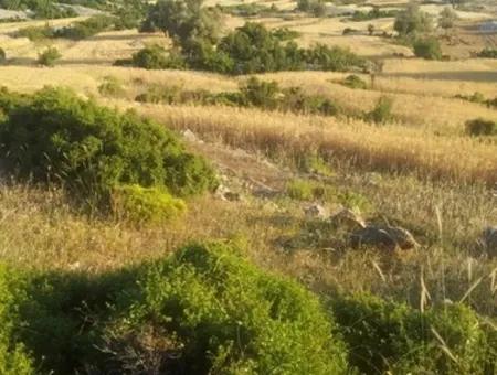 Land With Sea View For Sale At Boğaziçi Seydikemer