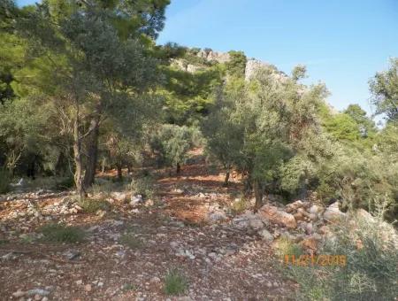 Fevziye Land For Sale With Sea View