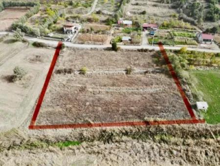 5 000 M2 Detached Title Deed Deposit Suitable For Sale In Çameli Belevide Bargain Field For Sale