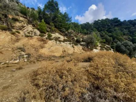 Muğla Dalyan Gökbelde 7 270 M2 Detached Title Deed Sea And Lake View Land For Sale