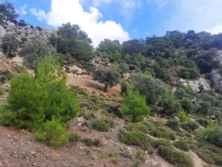 Muğla Dalyan Gökbelde 7 270 M2 Detached Title Deed Sea And Lake View Land For Sale