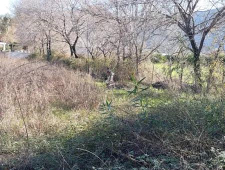 1500 M2 Zoned Land For Rent In Muğla Dalyan