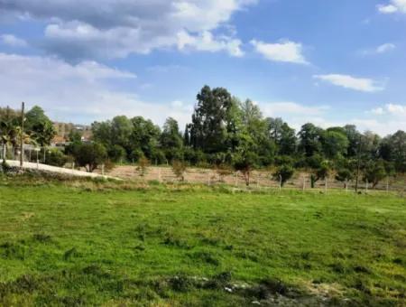 Köyceğiz Yangida Main Road Zero Investment Suitable Bargain Land For Sale