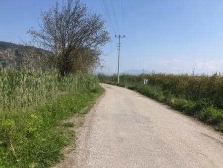 7989 M2 Pomegranate Field For Sale In Ortaca Mergenlide