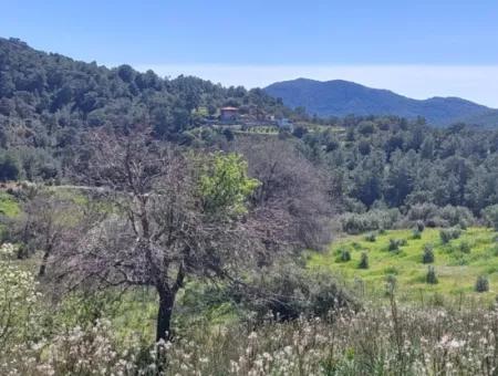 Ortaca Gökbelde Detached 12 132M2 Bargain Land In Nature For Sale