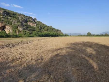 500 M2 Land With Bargain Detached Title Deed For Sale In Muğla Ortaca Fevziye.