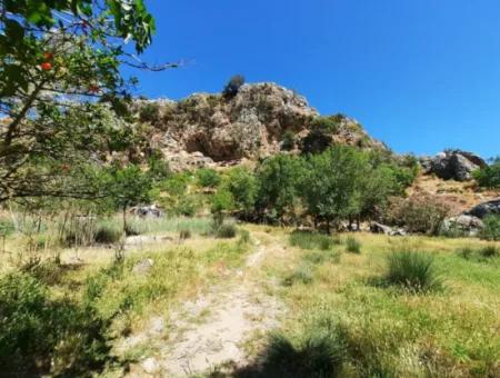 Muğla Ortaca Dalyanda Canal Front 6 500 M2 Land With Title Deed For Sale