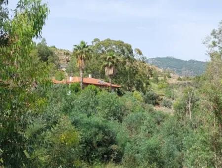 18 Villas Suitable For Mass Housing In Dalaman, 6 165 M2 Zoned Land For Sale
