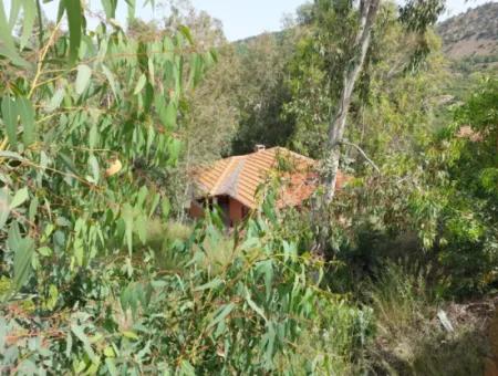 18 Villas Suitable For Mass Housing In Dalaman, 6 165 M2 Zoned Land For Sale