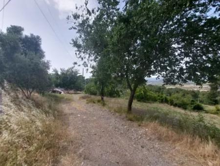 18 Villas Suitable For Mass Housing In Dalaman, 6 165 M2 Zoned Land For Sale