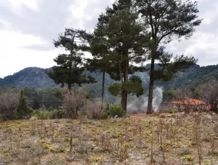 For Sale Bargain Land In Fethiye Ta Sty