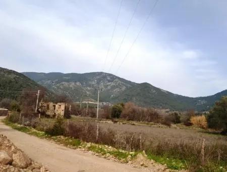 Farm For Sale Incirkoy Fethiye Bargain