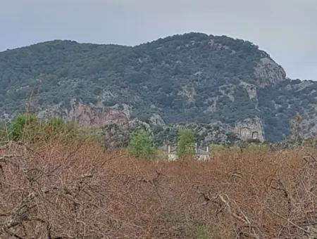 5 000 M2, 250 M2 Construction Permit, Land Close To Dalyan Canal For Sale In Dalyan, Muğla