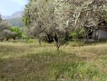 1272M2 Land Zoned In Muğla Menteşe Yaraş Village Is For Sale.   