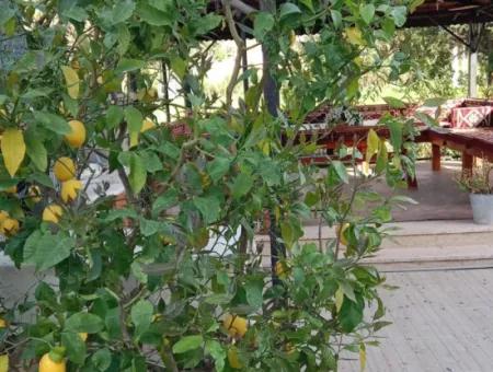Türsab Certificated Detached Luxury Villa For Sale In Ortaca Akıncı