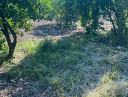 500 M2 Land With Rızai Partition In Ortaca Kemaliye For Emergency Sale