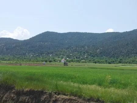 Bargain Land For Sale In Çameli Bıçakçı – 5.333 M² Detached Title Deed