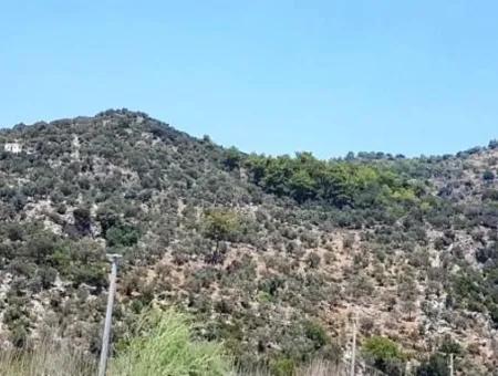 74,000 M2 Sea View Land For Sale In Dalaman Kapıkargın